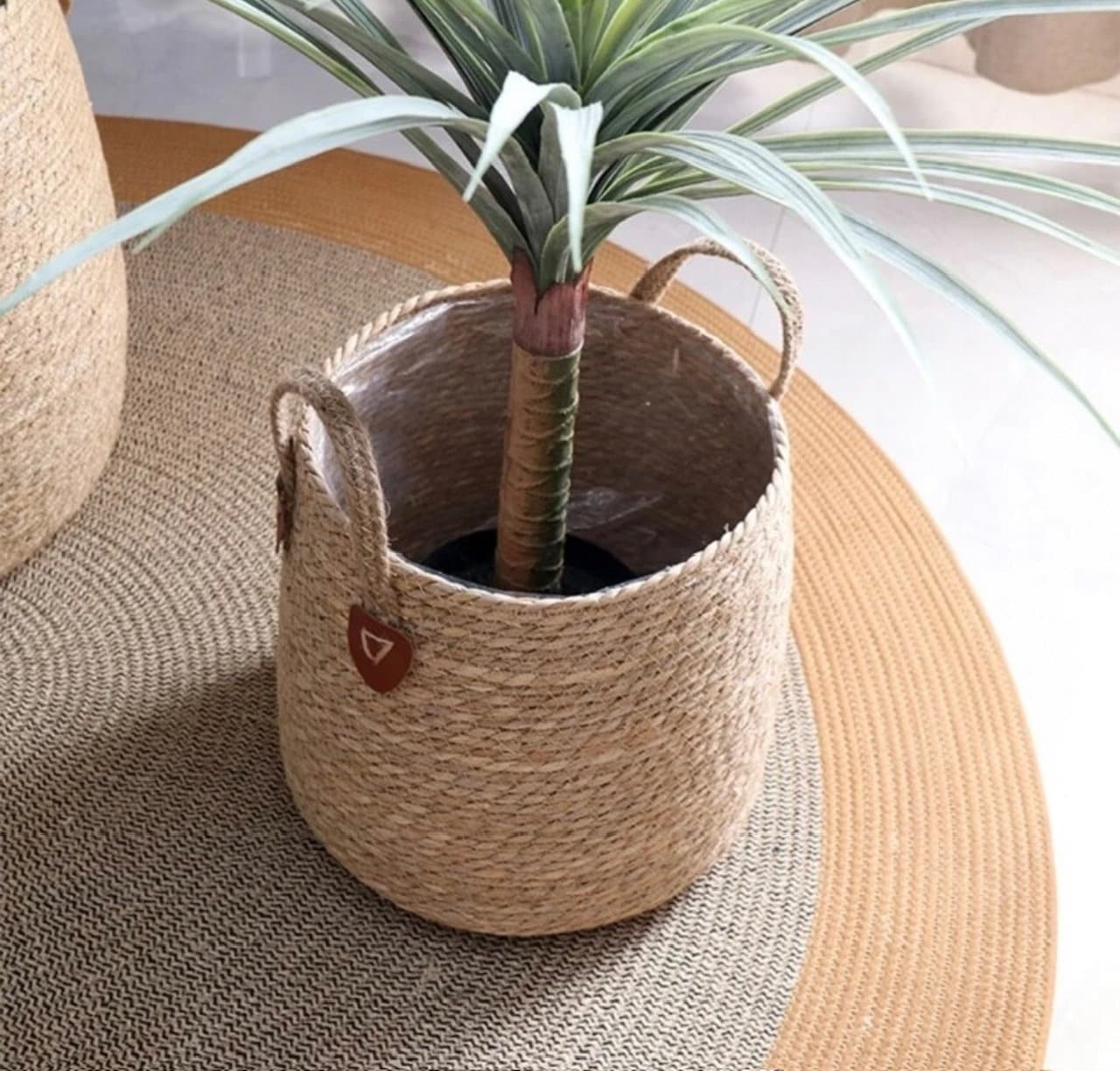 Woven Storage Baskets | Home Decor | Plant Baskets | Handled Basket | Popular | Free Shipping